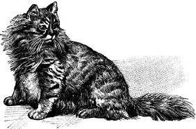 Webernetic - фото 6