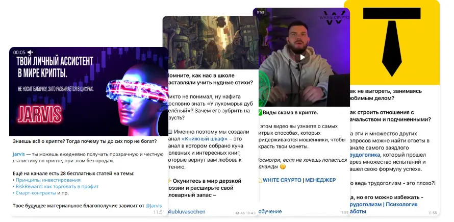 Webernetic - фото 4