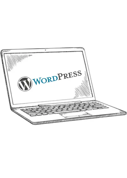 SEO-продвижение сайтов на WordPress - фото 1